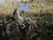 2012 Elk