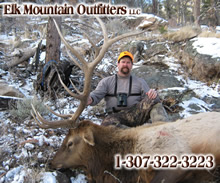 2011 Elk