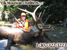 2011 Elk