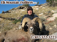 2011 Big Horn Sheep