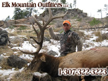 2011 Elk