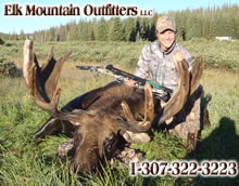 2011 Shiras Moose