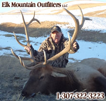 2011 elk