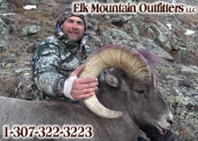 2011 Big Horn Sheep