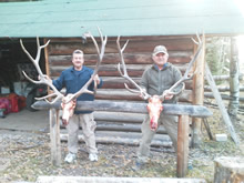 2012 Elk