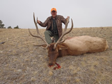 2012 Elk