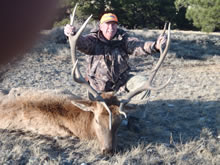 2012 Elk