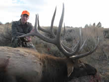 2012 Elk