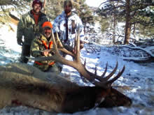 2012 Elk