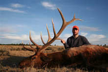 2012 Elk