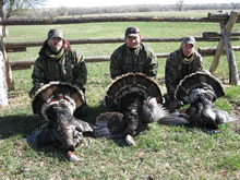 2012 Turkey
